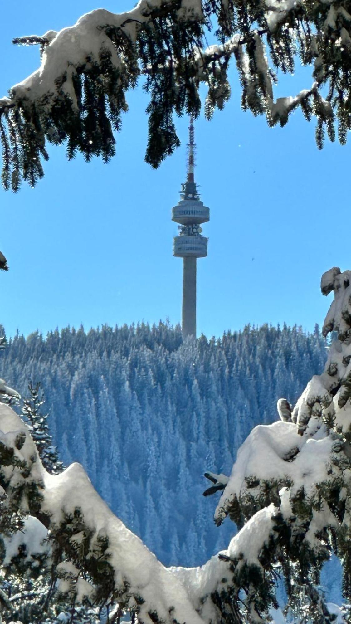 Elea Mountain Пампорово